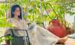 COVID-19: Kangana Ranaut demands people using oxygen to work on improving air quality