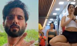 Shahid Kapoor, Janhvi Kapoor