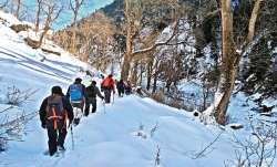 himachal pradesh, trekkers, 