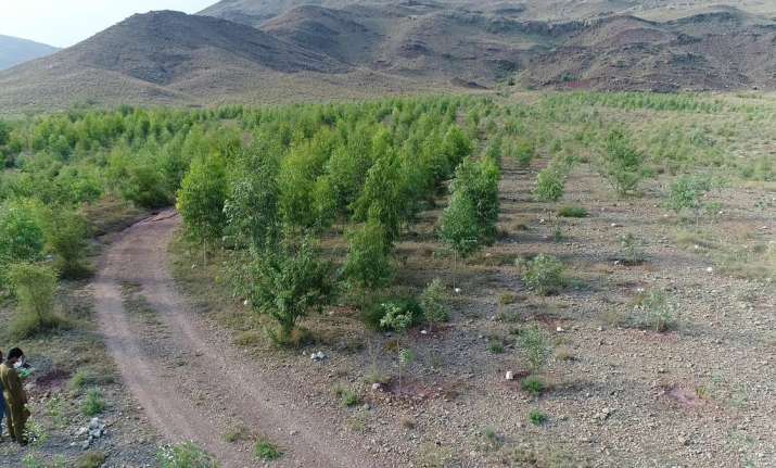 Tripura, Mizoram afforestation plan