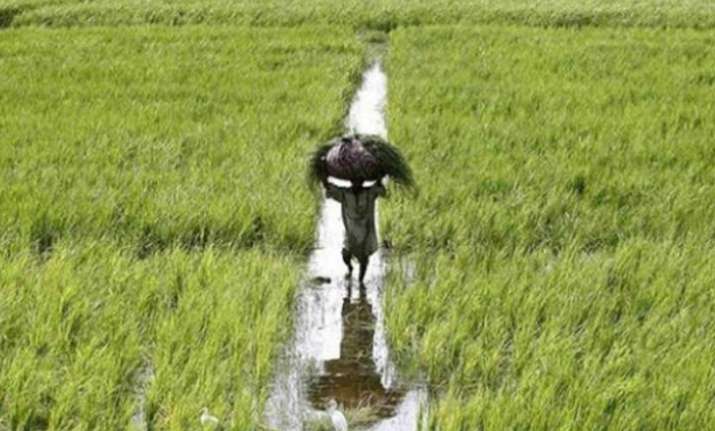 Raising farm output alone cannot ensure better prices to
