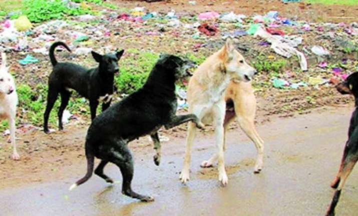 Villagers are demanding a solution to the growing number of