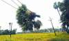 andhra braces for very severe cyclonic storm lehar