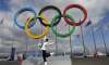 sochi city hall orders killing of stray dogs