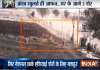 Watch Lions caught on camera roaming freely on village