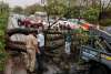 Fallen tree obstructing traffic in Jaipur after a