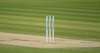 cricket death,