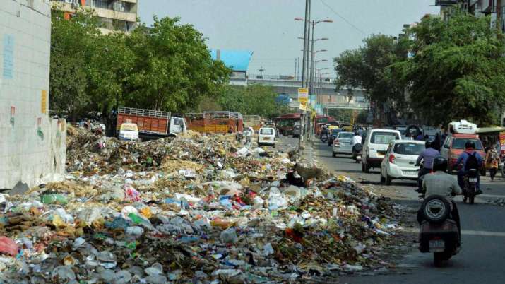 Delhi garbage disposal
