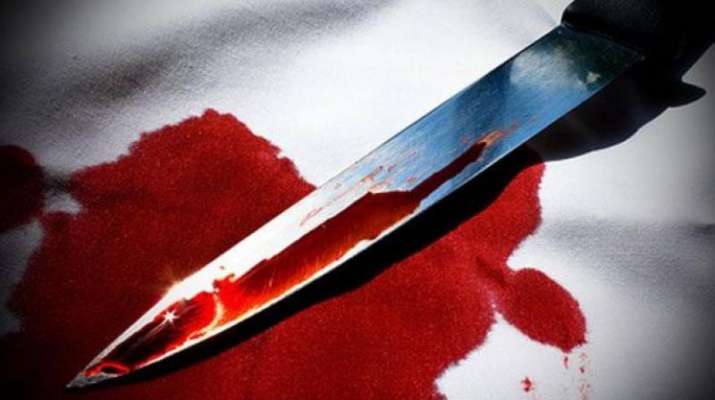 Delhi Uber driver murder