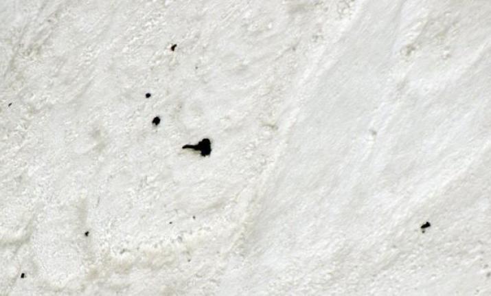 Nanda Devi Missing Climbers: Bad news as pictures emerge