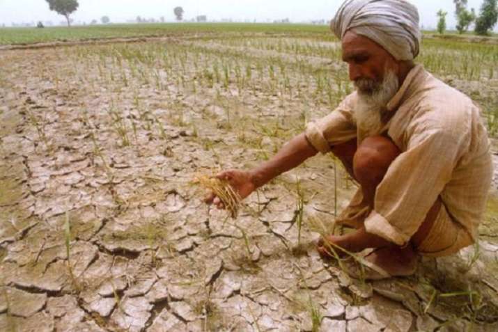 Uttar Pradesh stares at drought-like situation | India News – India TV