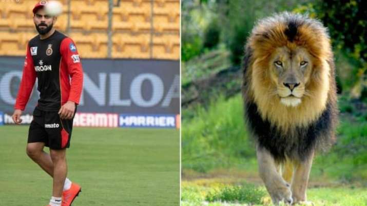 RCB ask fans to 'spot the difference' between Virat Kohli
